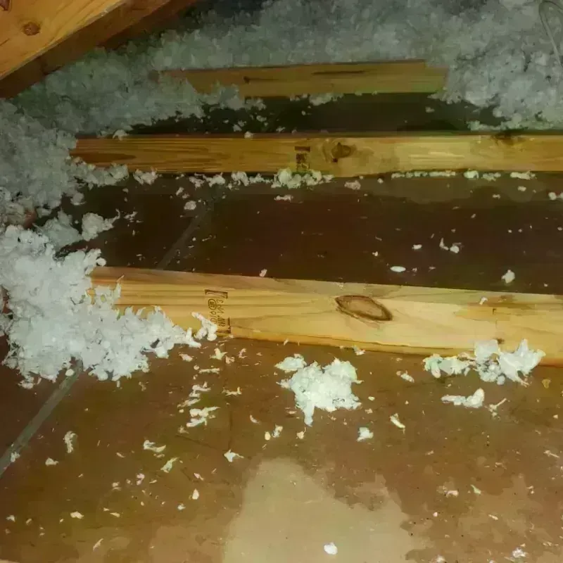 Attic Water Damage in New Lenox, IL